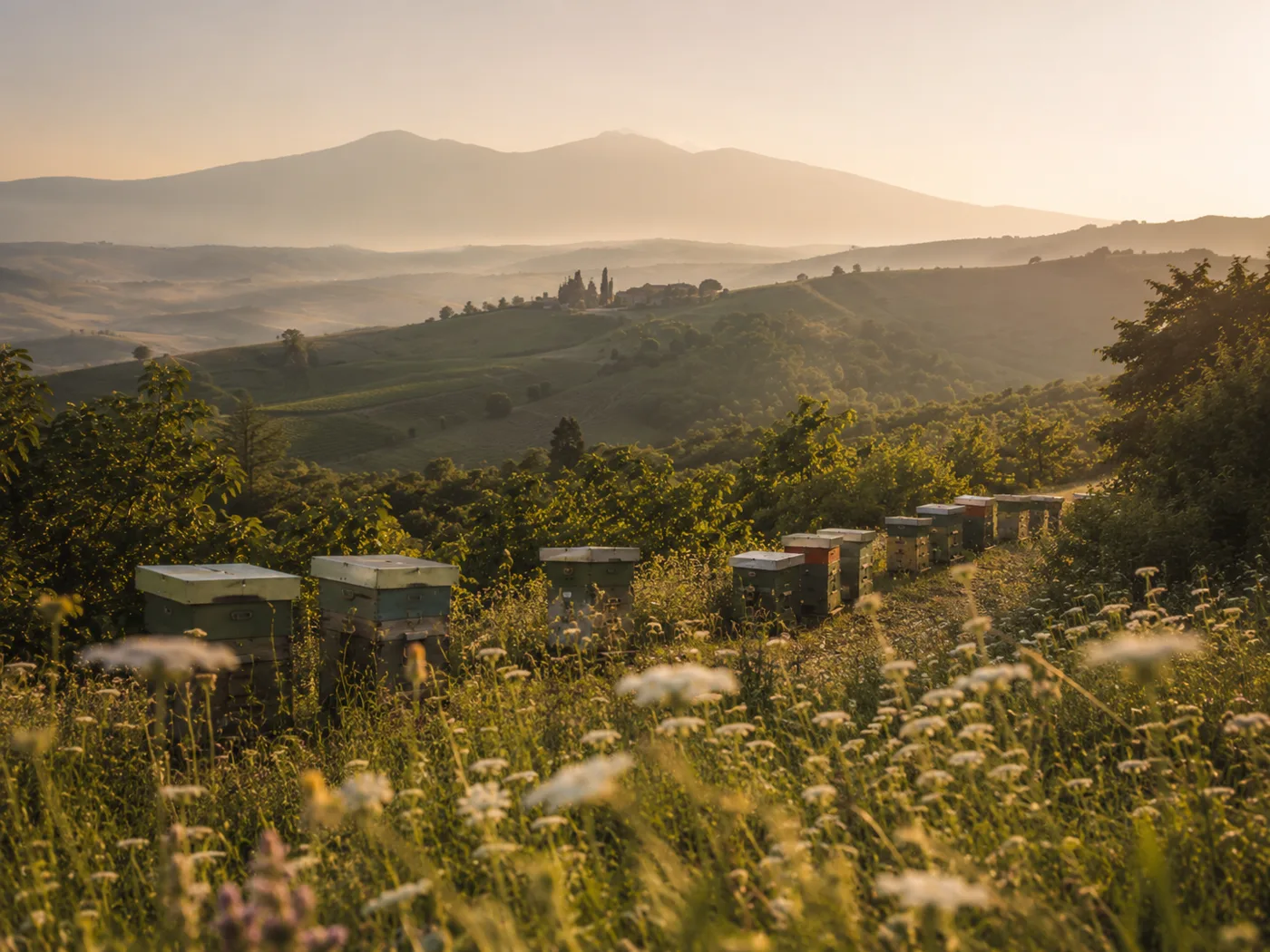 Paesaggio italiano con apiario